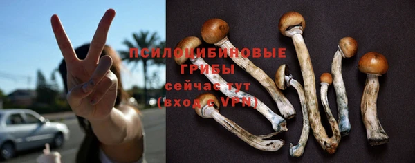 кокс Аркадак