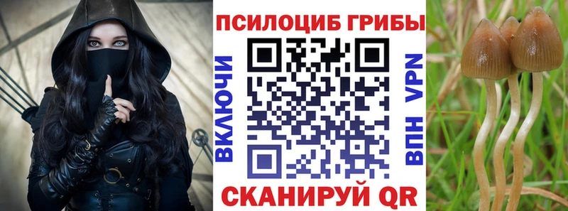 Галлюциногенные грибы ЛСД  Сковородино 